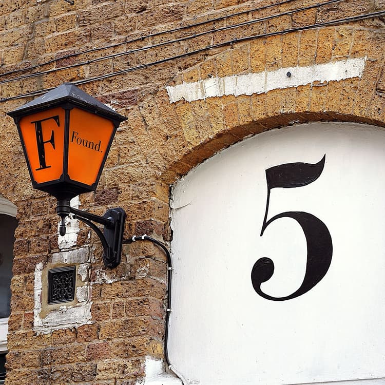 Cover Image for Carnivore Diet Month 5 Health Update