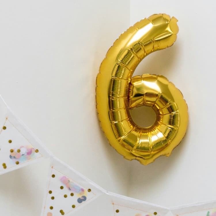 Cover Image for Carnivore Diet Month 6 Health Update