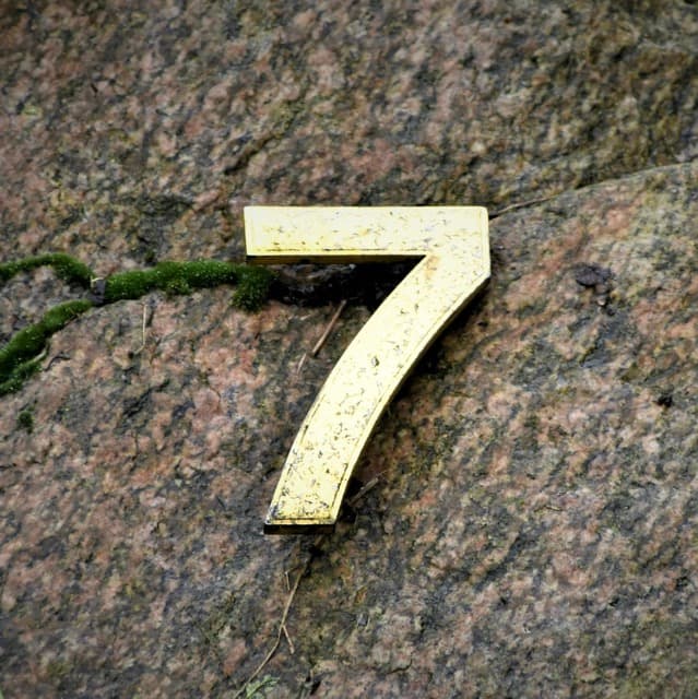 Cover Image for Carnivore Diet Month 7 Health Update